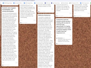 Environmental Justice Padlet Reflection
